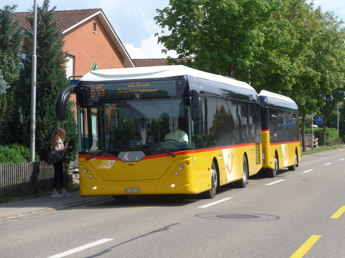 (182'008) - Moser, Flaach - Nr. 289/ZH 480'005 - G�ppel am 10. Juli 2017 in Rickenbach Sulz, Sunnezirkel