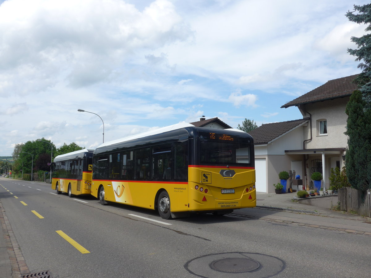(182'009) - Moser, Flaach - Nr. 290/ZH 812'865 - G�ppel Personenanh�nger am 10. Juli 2017 in Rickenbach Sulz, Sunnezirkle