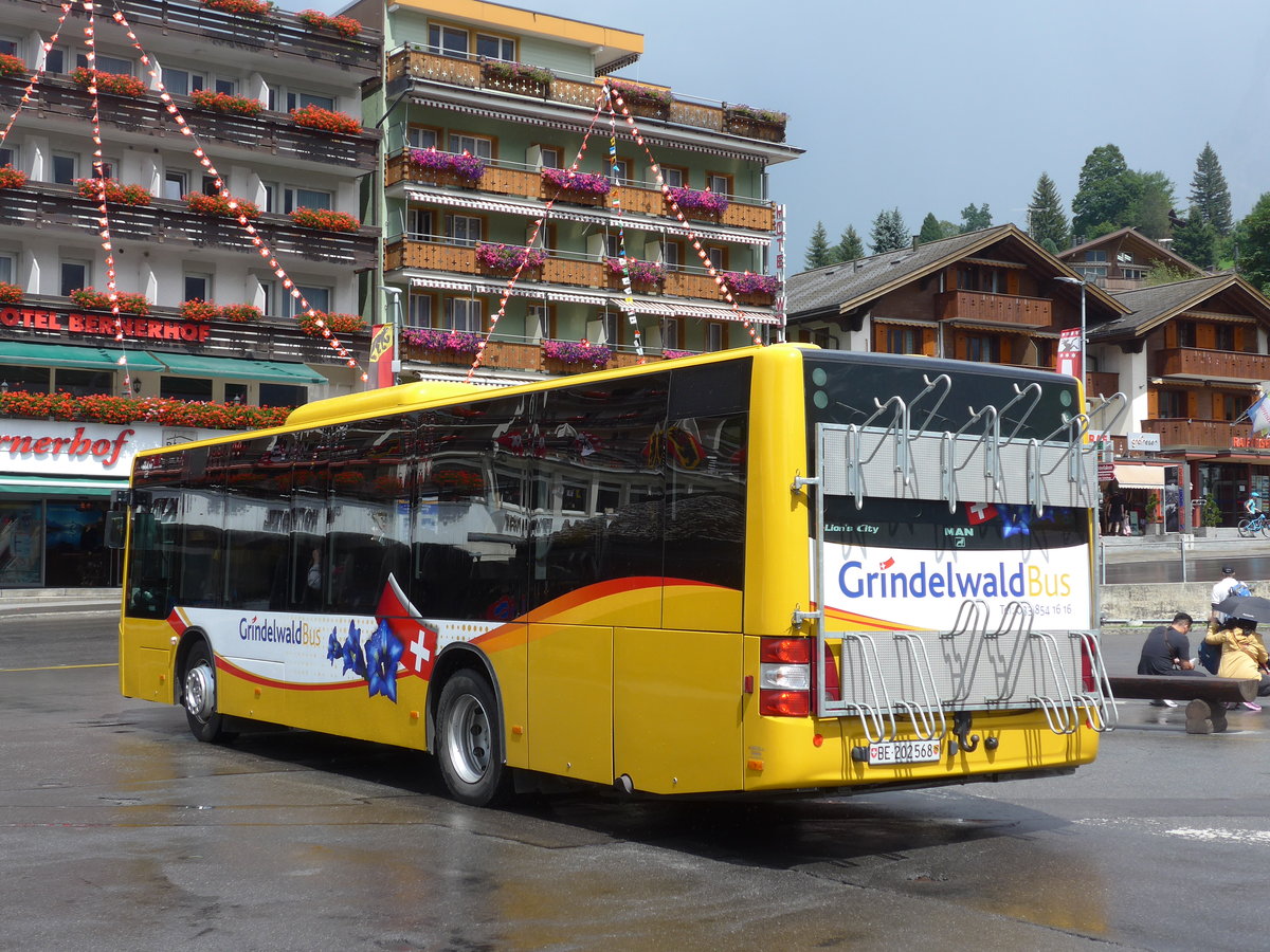 (182'392) - AVG Grindelwald - Nr. 14/BE 202'568 - MAN/G�ppel am 30. Juli 2017 beim Bahnhof Grindelwald