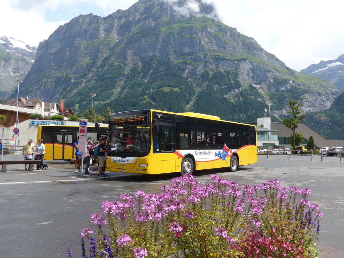 (182'398) - AVG Grindelwald - Nr. 19/BE 363'305 - MAN/G�ppel am 30. Juli 2017 beim Bahnhof Grindelwald