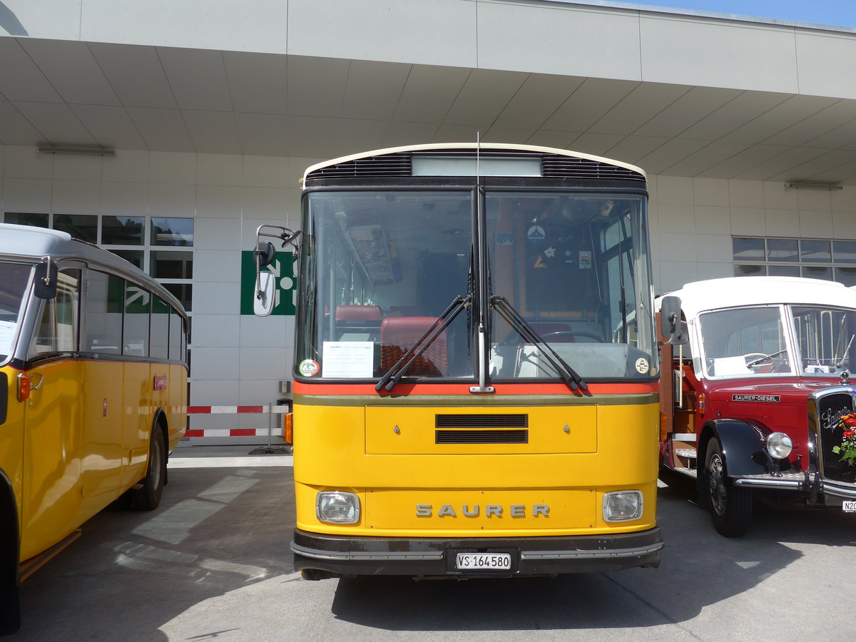 (184'459) - Maillard, Evol�ne - VS 164'580 - Saurer/T�scher (ex Segessenmann, Burgistein; ex P 24'229) am 26. August 2017 in Oberkirch, CAMPUS Sursee