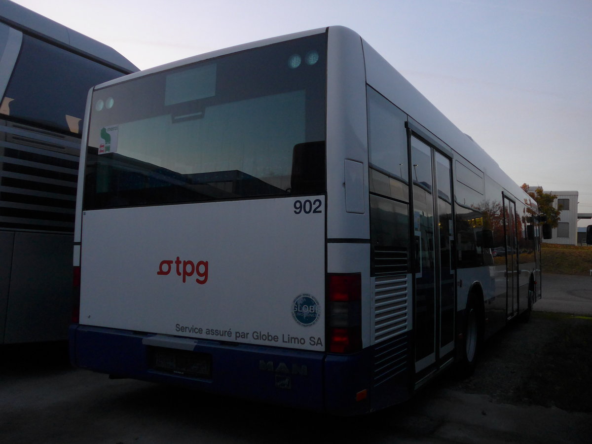 (185'982) - Globe-Limo, Gen�ve - Nr. 902 - MAN am 19. Oktober 2017 in Frauenfeld, Langdorfstrasse