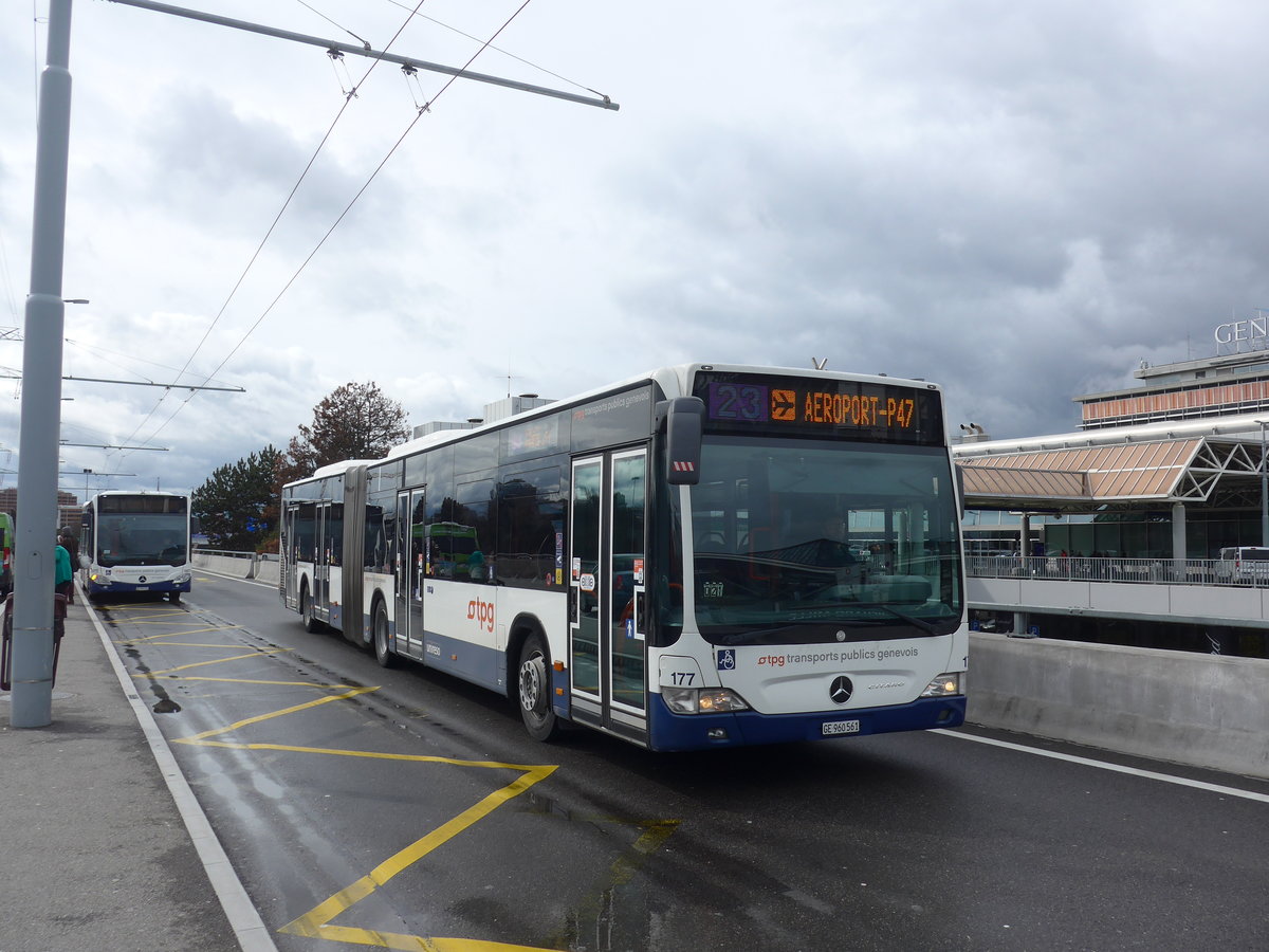 (189'276) - TPG Gen�ve - Nr. 177/GE 960'561 - Mercedes am 12. M�rz 2018 in Gen�ve, A�roport