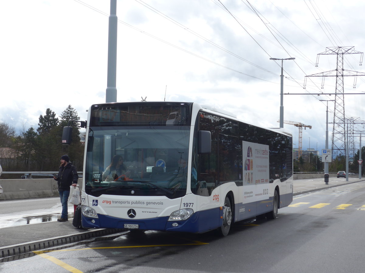 (189'277) - Globe-Limo, Gen�ve - Nr. 1977/GE 960'214 - Mercedes am 12. M�rz 2018 in Gen�ve, A�roport