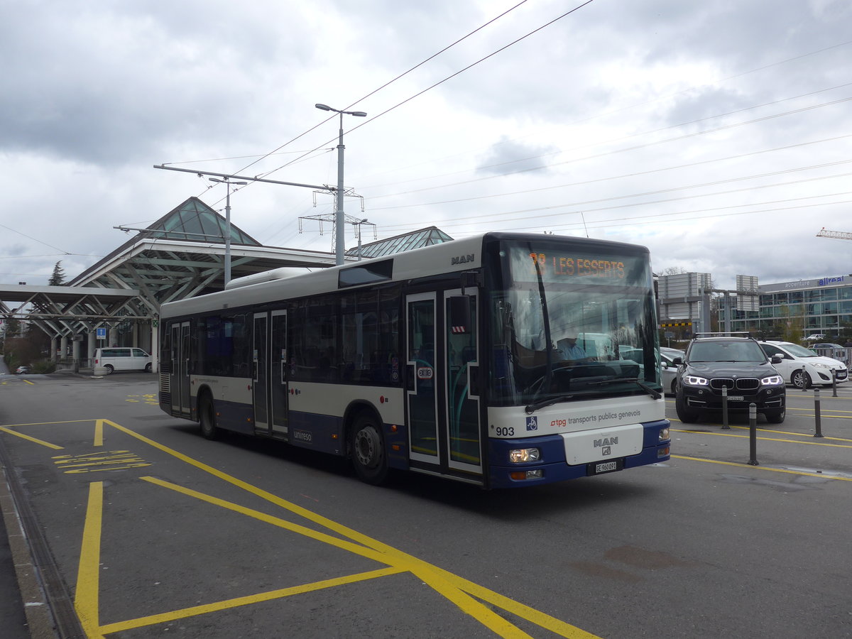 (189'295) - Globe-Limo, Gen�ve - Nr. 903/GE 960'091 - MAN am 12. M�rz 2018 in Gen�ve, A�roport