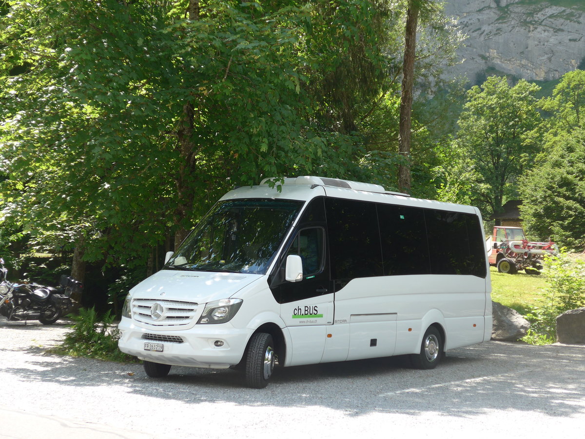 (194'439) - Busmiete, M�nchenstein - FR 263'219 - Mercedes/Sitcar am 25. Juni 2018 in Tr�mmelbach, Tr�mmelbachf�lle