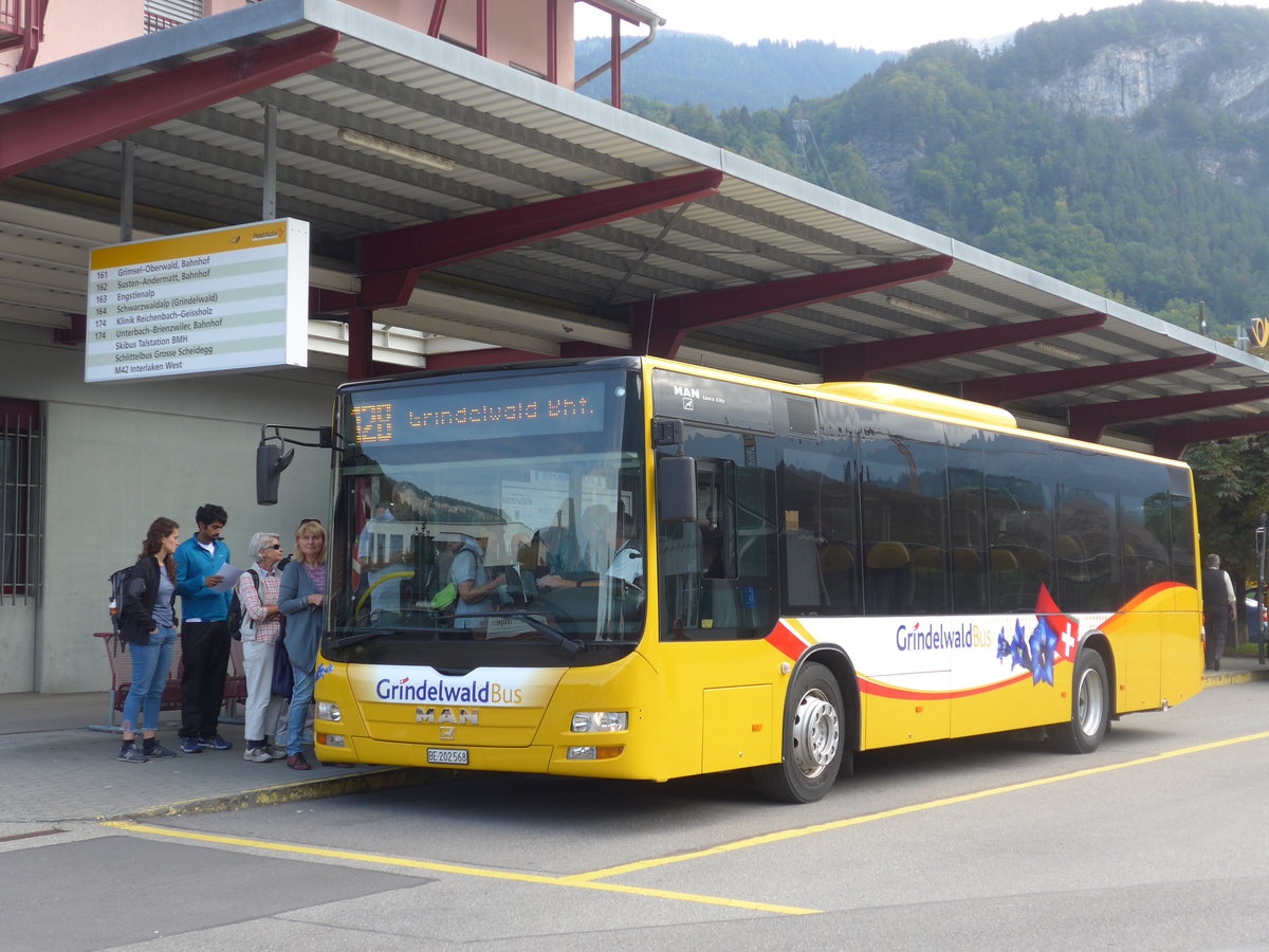 (197'674) - AVG Grindelwald - Nr. 14/BE 202'568 - MAN/G�ppel am 16. September 2018 in Meiringen, Postautostation