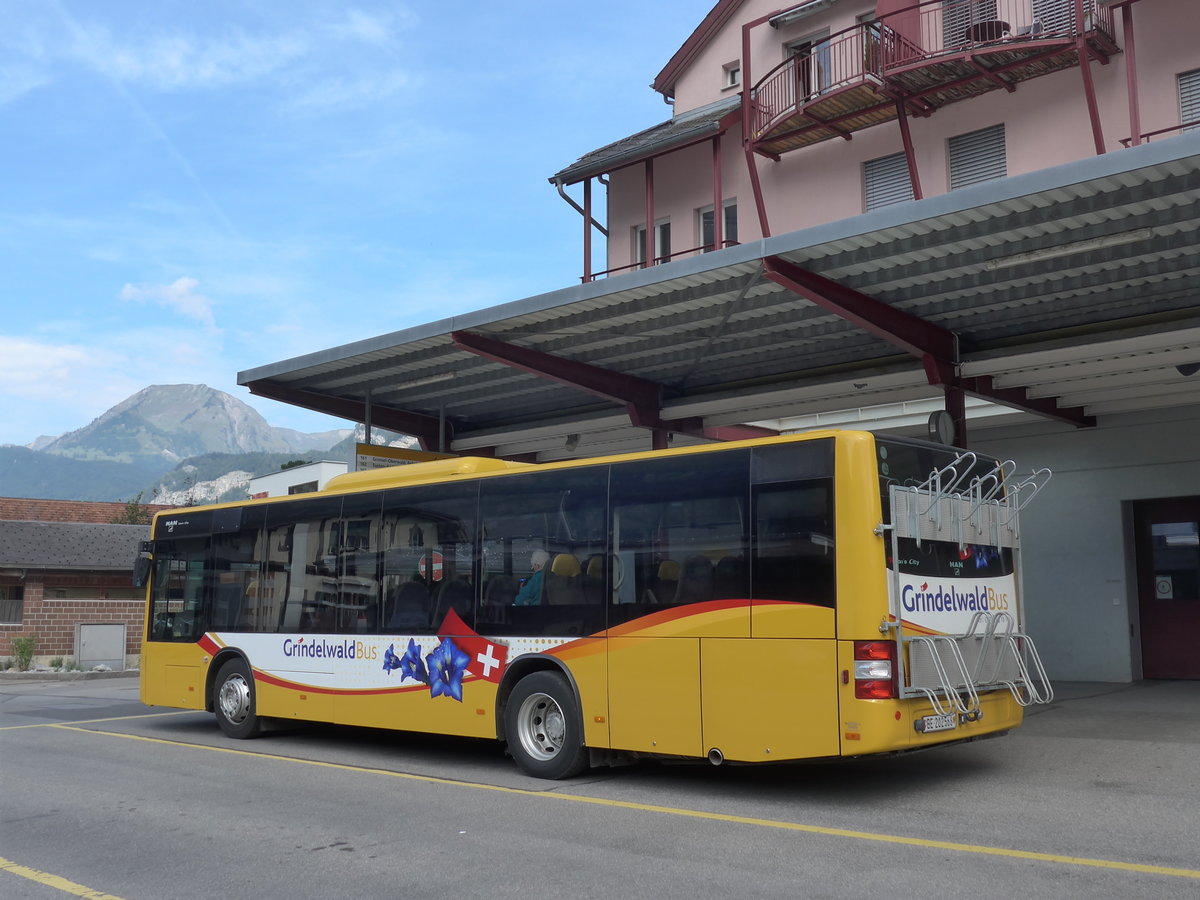 (197'676) - AVG Grindelwald - Nr. 14/BE 202'568 - MAN/G�ppel am 16. September 2018 in Meiringen, Postautostation