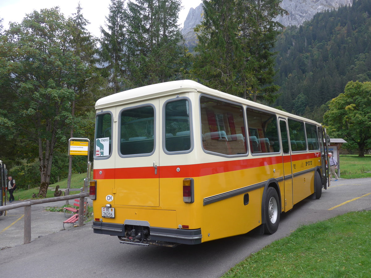 (197'800) - Schmid, Th�rishaus - BE 26'206 - Saurer/T�scher (ex P 24'244) am 16. September 2018 auf der Schwarzwaldalp