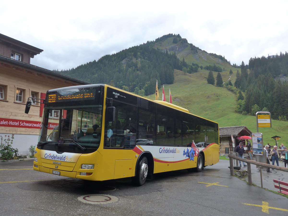 (197'809) - AVG Grindelwald - Nr. 11/BE 261'865 - MAN/G�ppel am 16. September 2018 auf der Schwarzwaldalp