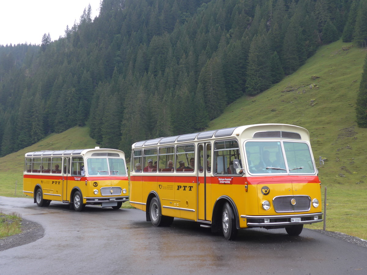 (197'829) - Frutig, Birmensdorf - ZH 560'883 - FBW/FHS (ex P 23'217) + M�ller, Ennetmoos - NW 23'167 - FBW/Gangloff (ex Rentsch, Gunten; ex P 23'203; ex P 21'003) am 16. September 2018 in Gschwandtenmaad