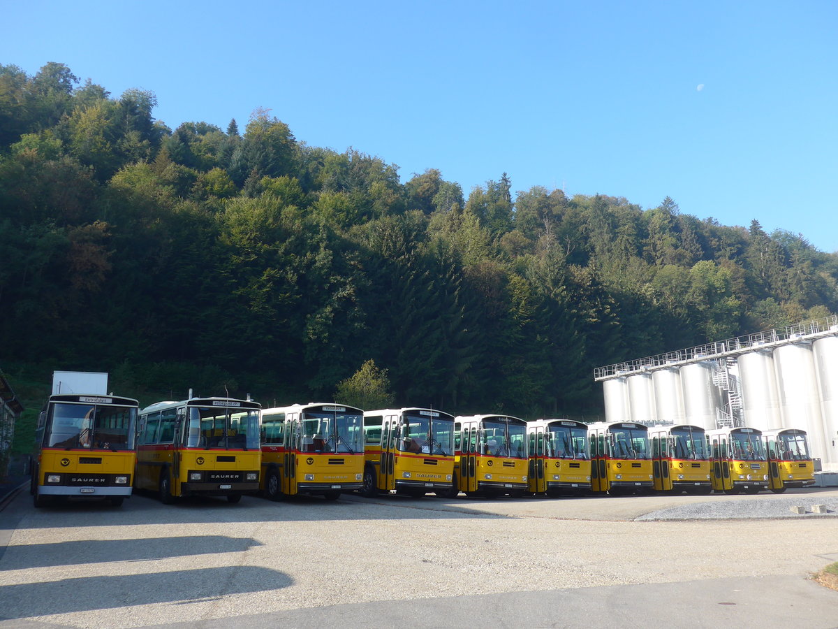 (197'995) - Ruklic, Schaffhausen - SH 17'473 - Saurer/T�scher (ex Schett, Sargans) am 30. September 2018 in Willisau, Altes Zeughaus (und 9 weitere Saurer RH)