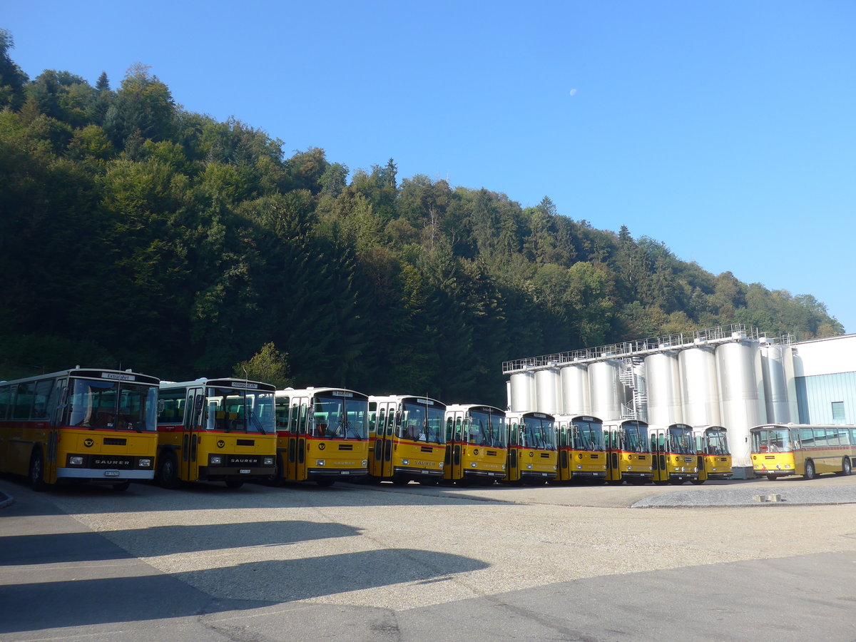 (197'996) - Ruklic, Schaffhausen - SH 17'473 - Saurer/T�scher (ex Schett, Sargans) am 30. September 2018 in Willisau, Altes Zeughaus (und 10 weiter Saurer RH)