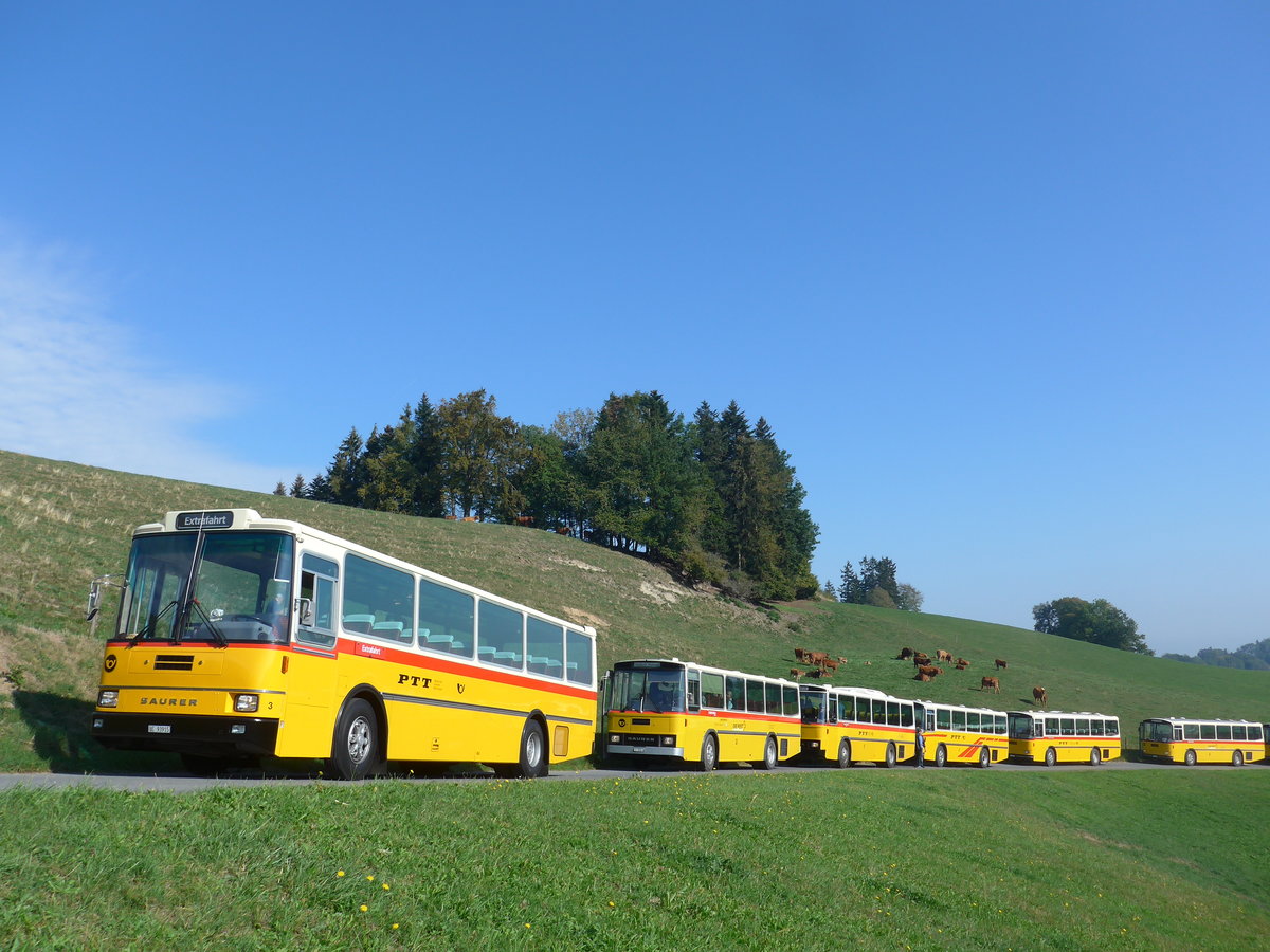(197'998) - Kolb, Grasswil - Nr. 3/BE 93'915 - Saurer/R&J (ex Schmocker, Stechelberg Nr. 3; ex Nr. 1; ex Gertsch, Stechelberg Nr. 1) am 30. September 2018 in Hofstatt, Ober Fl�hlen