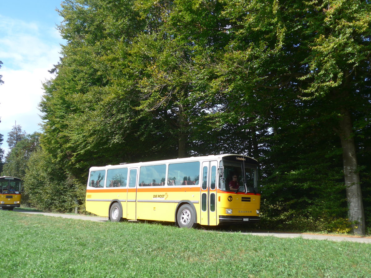 (198'010) - Marugg, Gelterkinden - BL 206'056 - Saurer/Hess (ex D�rfelt, D-Gahlenz; ex P 24'254) am 30. September 2018 in Wasen, Huttwilstrasse