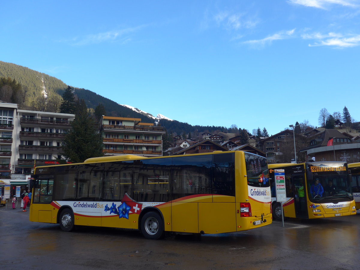 (200'496) - AVG Grindelwald - Nr. 20/BE 349'361 - MAN/G�ppel am 1. Januar 2019 beim Bahnhof Grindelwald