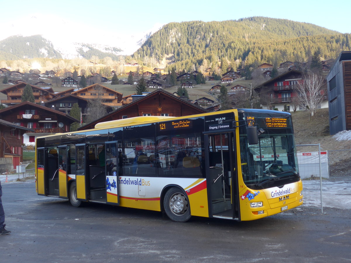 (200'499) - AVG Grindelwald - Nr. 14/BE 202'568 - MAN/G�ppel am 1. Januar 2019 in Grindelwald, M�nnlichenbahn