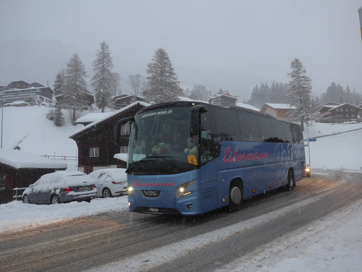 (201'026) - Estermann, Berom�nster - LU 15'753 - VDL am 13. Januar 2019 in Adelboden, Oey