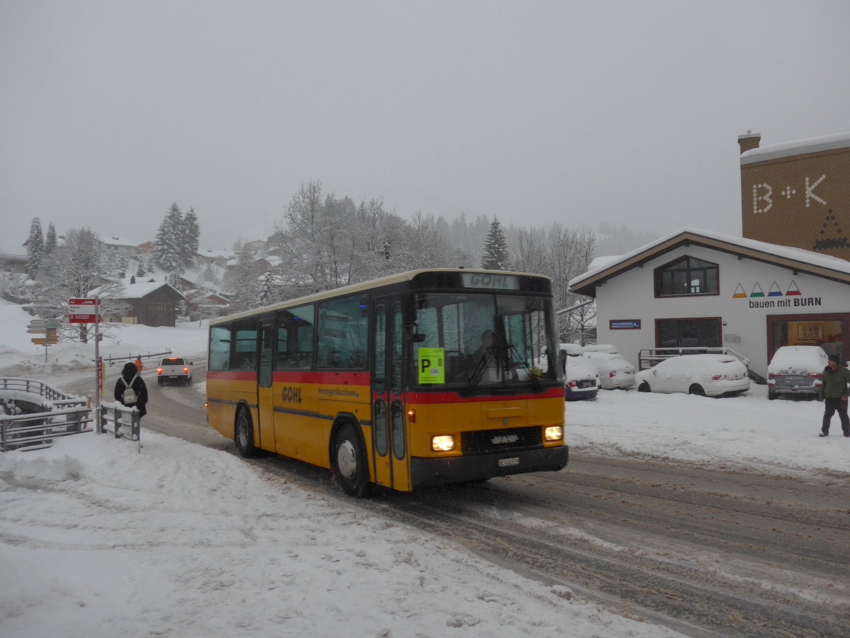(201'047) - Gohl, Herzogenbuchsee - Nr. 11/BE 436'579 - NAW/Hess (ex Flury, Balm; ex Steiner, Altb�ron Nr. 11) am 13. Januar 2019 in Adelboden, Oey