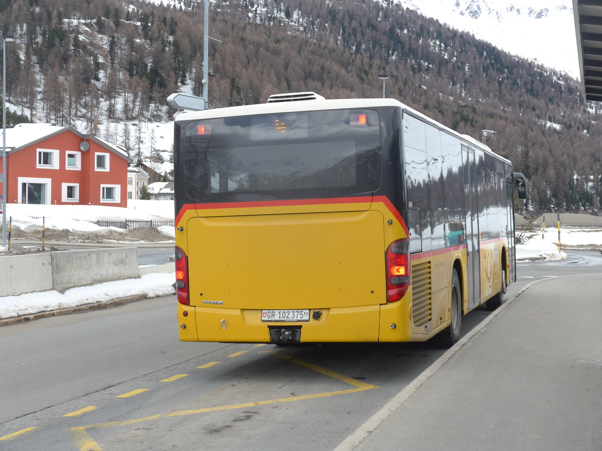 (202'088) - PostAuto Graub�nden - GR 102'375 - Setra am 10. M�rz 2019 in Silvaplana, Kreisel Mitte