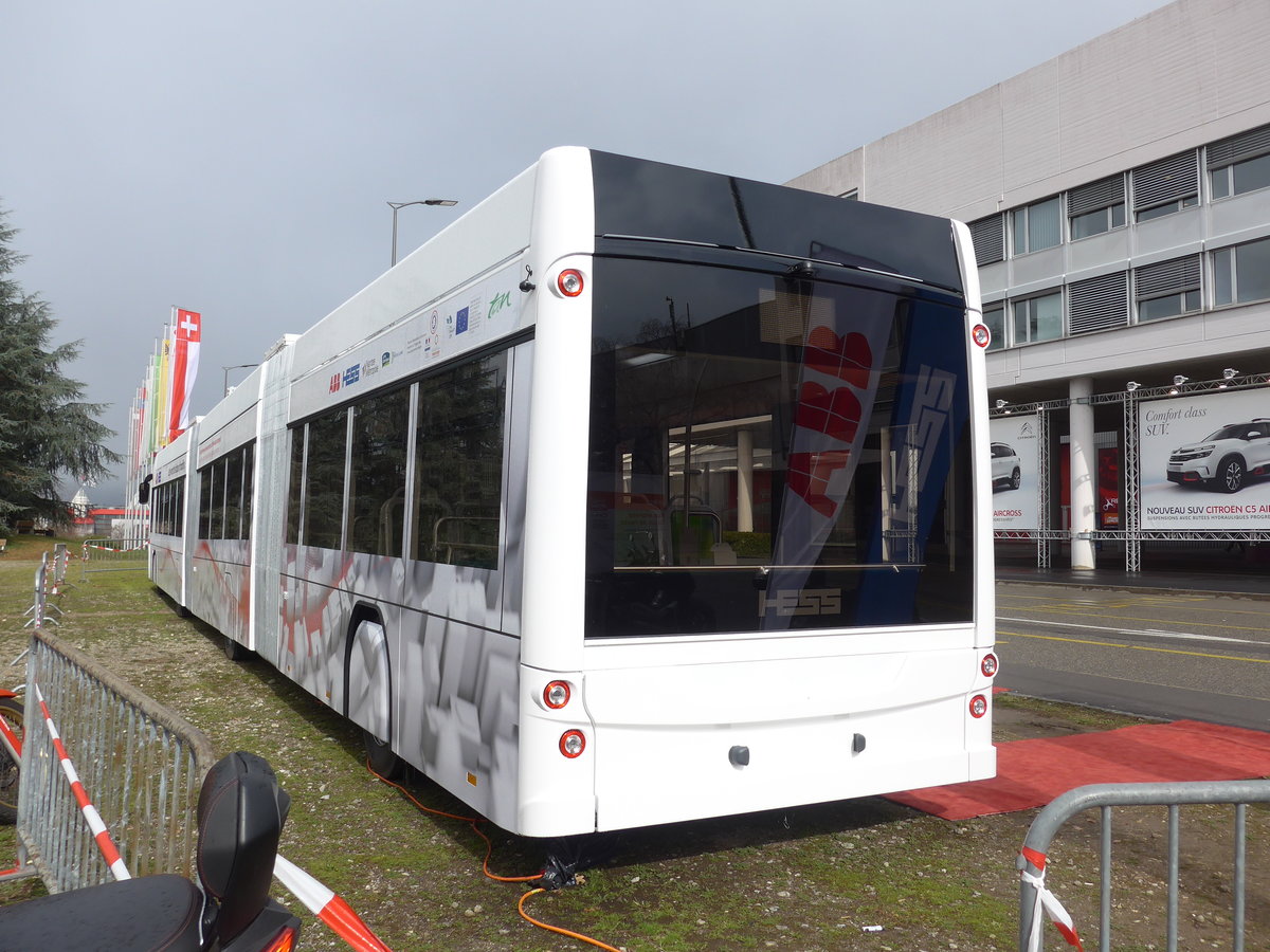 (202'150) - Hess, Bellach - Hess/Hess am 11. M�rz 2019 in Gen�ve, Palexpo