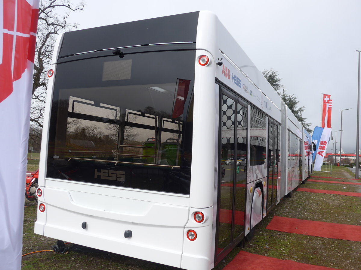 (202'151) - Hess, Bellach - Hess/Hess am 11. M�rz 2019 in Gen�ve, Palexpo