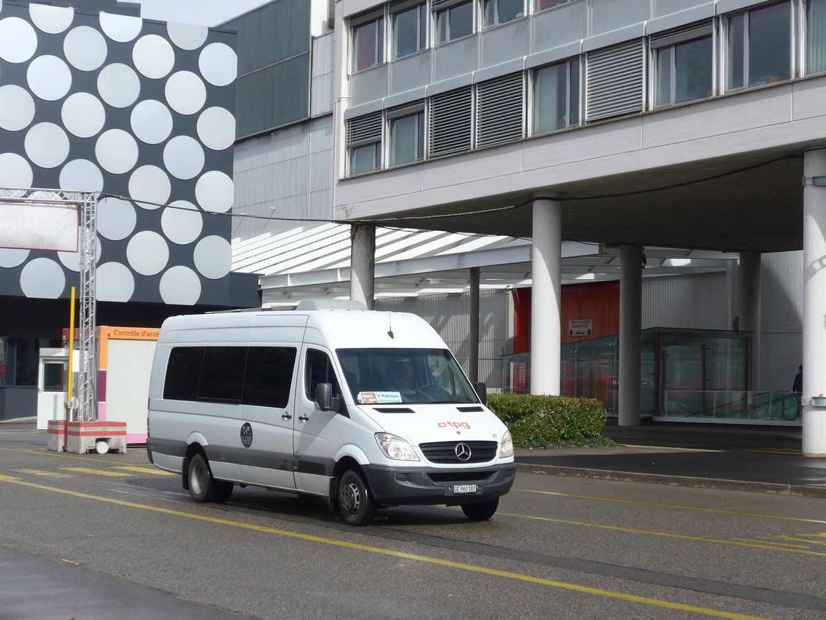 (202'161) - Globe-Limo, Gen�ve - Nr. 21/GE 960'187 - Mercedes am 11. M�rz 2019 in Gen�ve, Palexpo