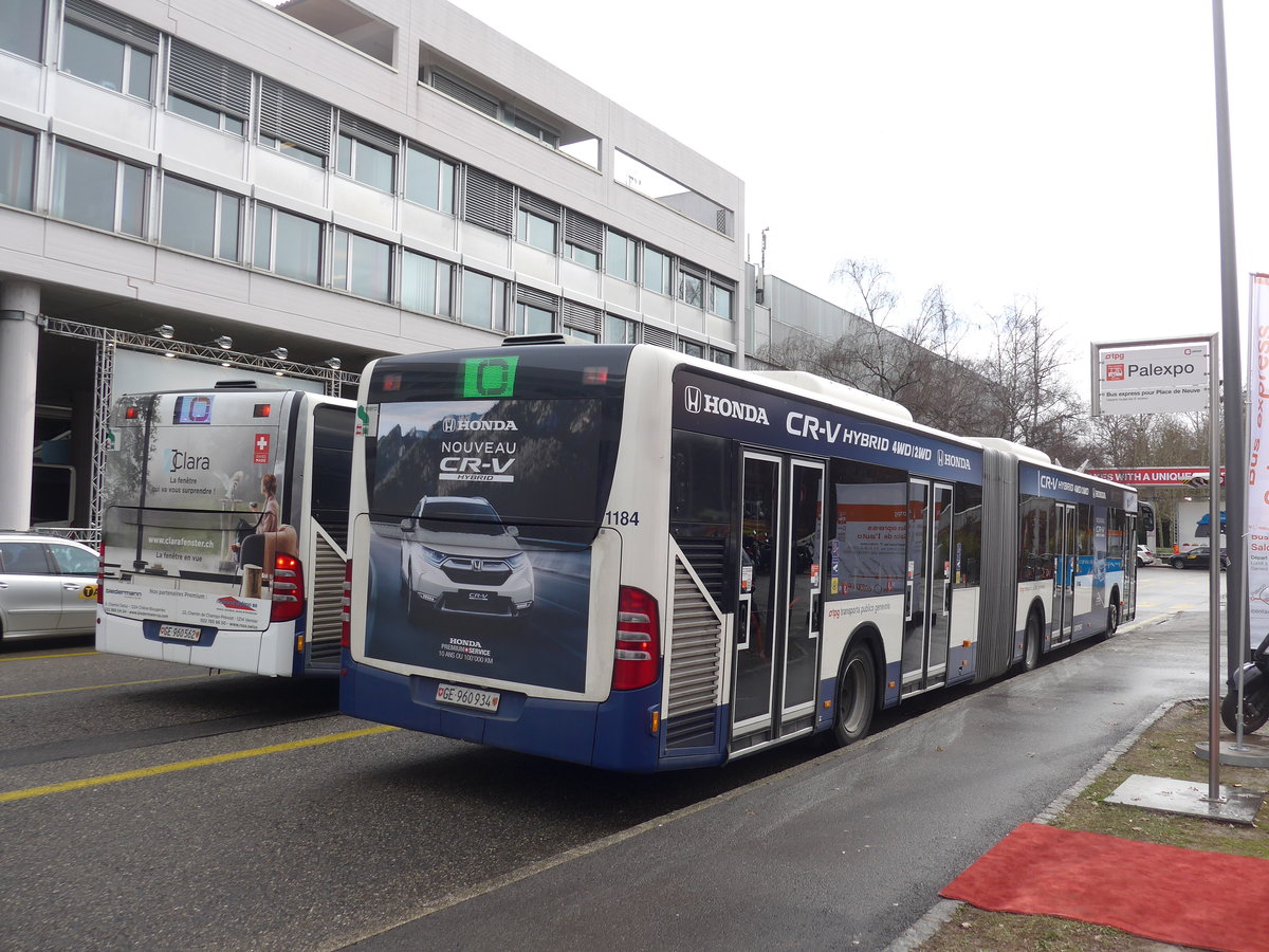 (202'163) - TPG Gen�ve - Nr. 1184/GE 960'934 - Mercedes am 11. M�rz 2019 in Gen�ve, Palexpo