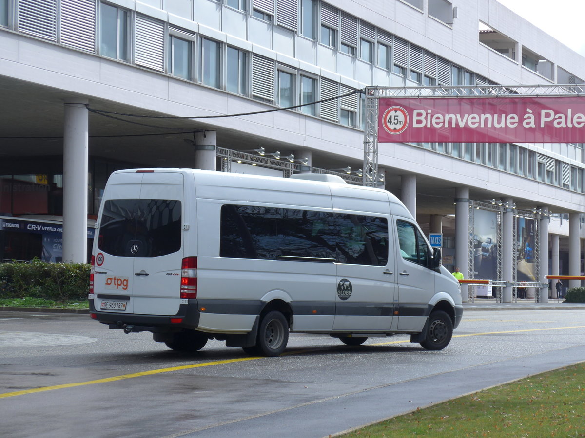 (202'181) - Globe-Limo, Gen�ve - Nr. 21/GE 960'187 - Mercedes am 11. M�rz 2019 in Gen�ve, Palexpo
