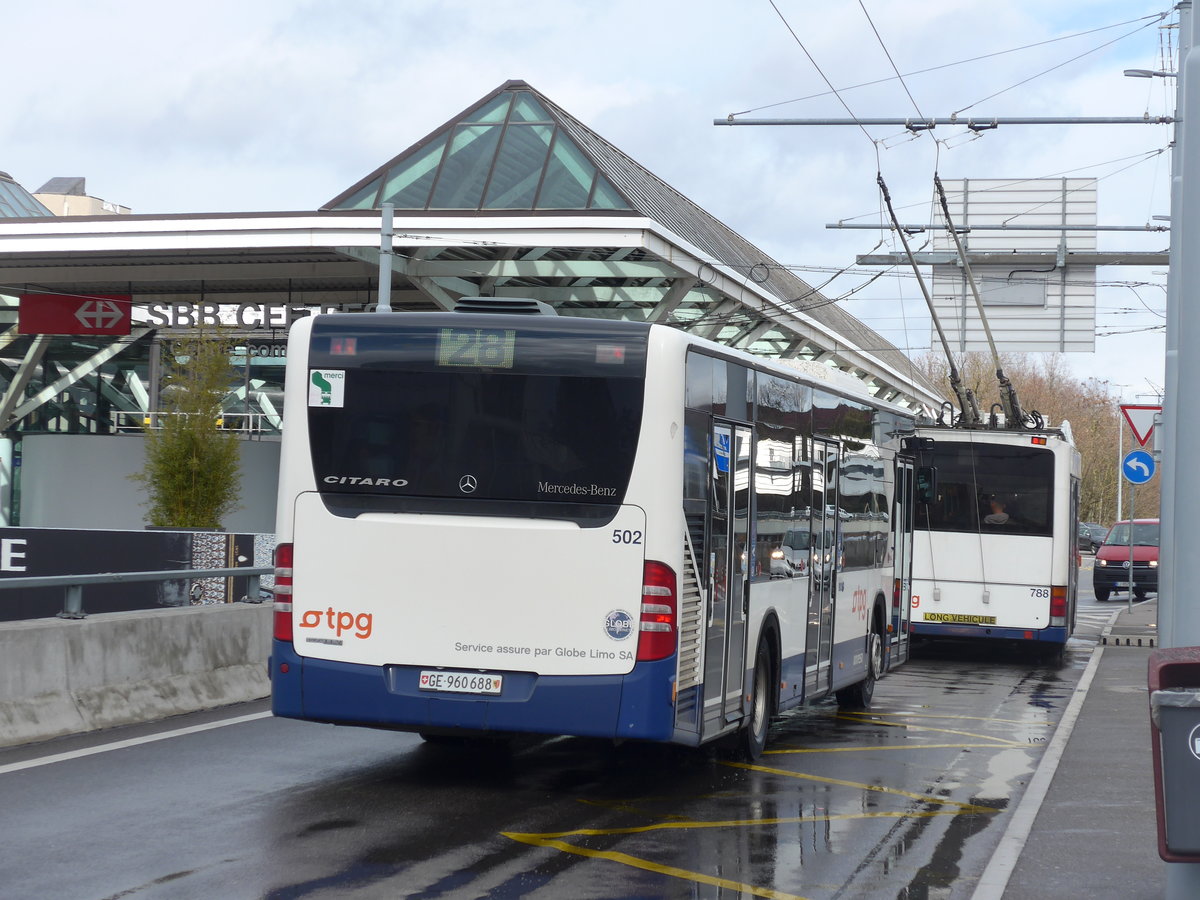 (202'269) - Globe-Limo, Gen�ve - Nr. 502/GE 960'688 - Mercedes am 11. M�rz 2019 in Gen�ve, A�roport