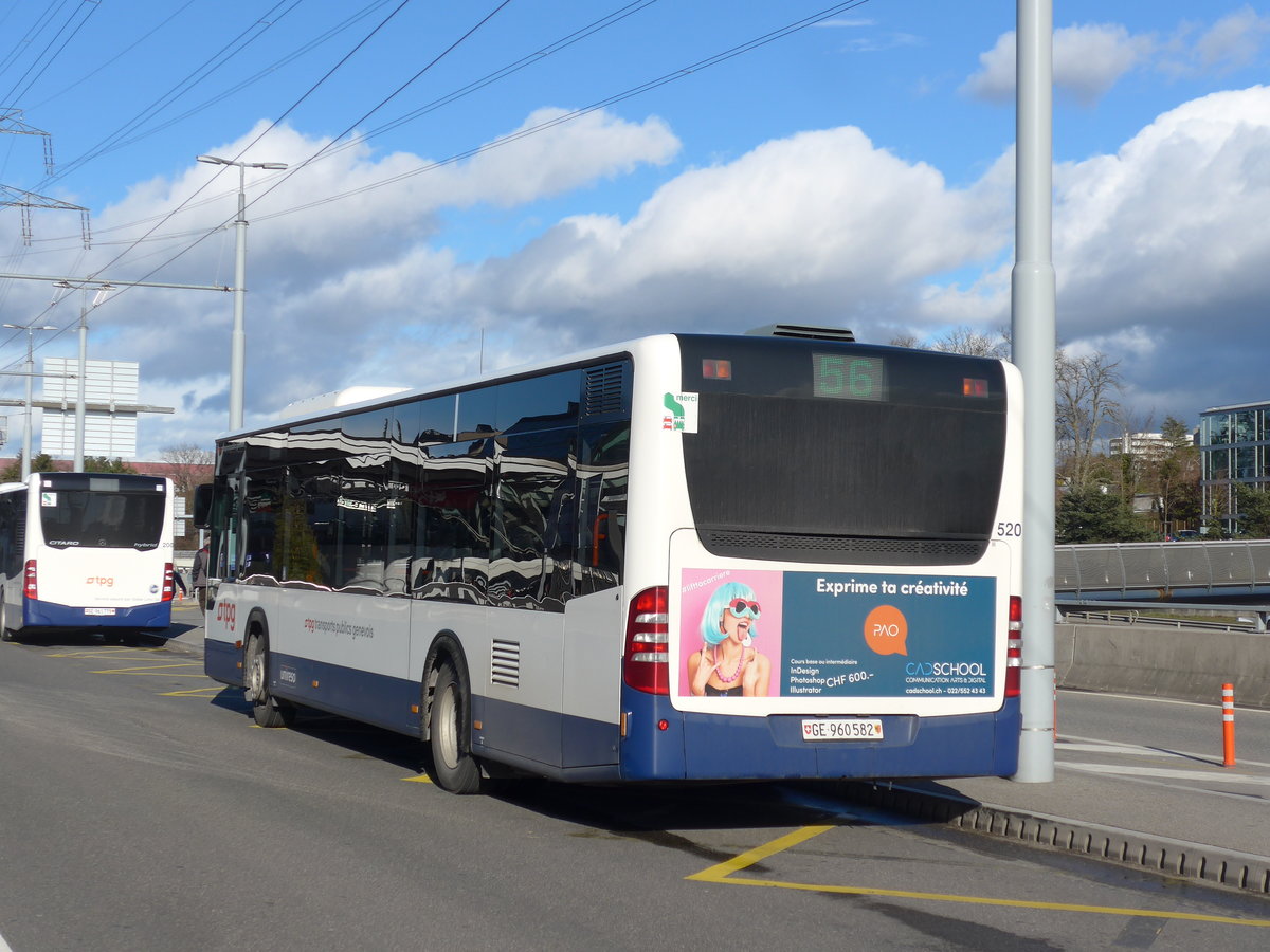 (202'317) - TPG Gen�ve - Nr. 520/GE 960'582 - Mercedes am 11. M�rz 2019 in Gen�ve, A�roport