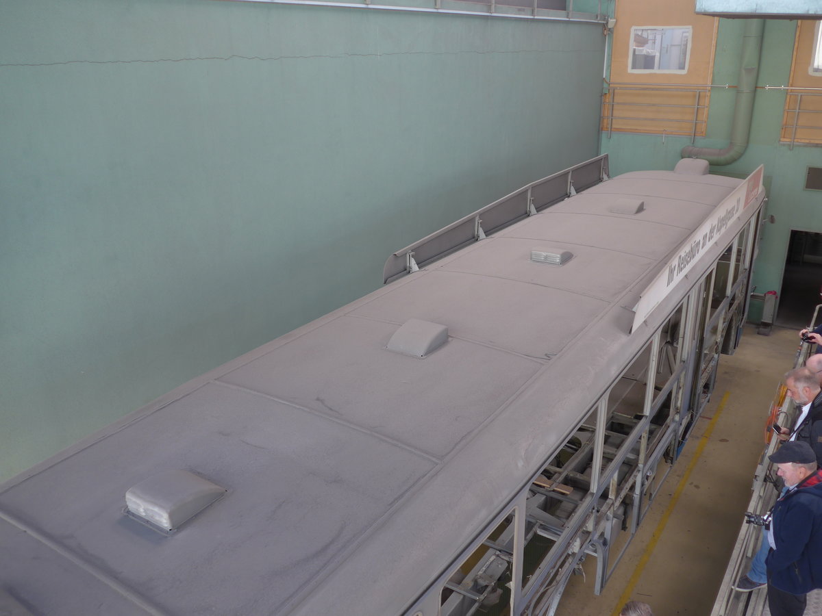 (202'942) - VBL Luzern (vbl-historic) - Nr. 81 - FBW/Hess am 23. M�rz 2019 in Luzern, Depot (in Restauration)