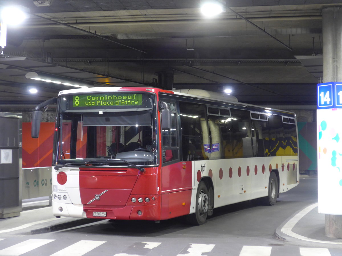 (203'060) - TPF Fribourg - Nr. 5/FR 300'256 - Volvo am 24. M�rz 2019 in Fribourg, Busbahnhof