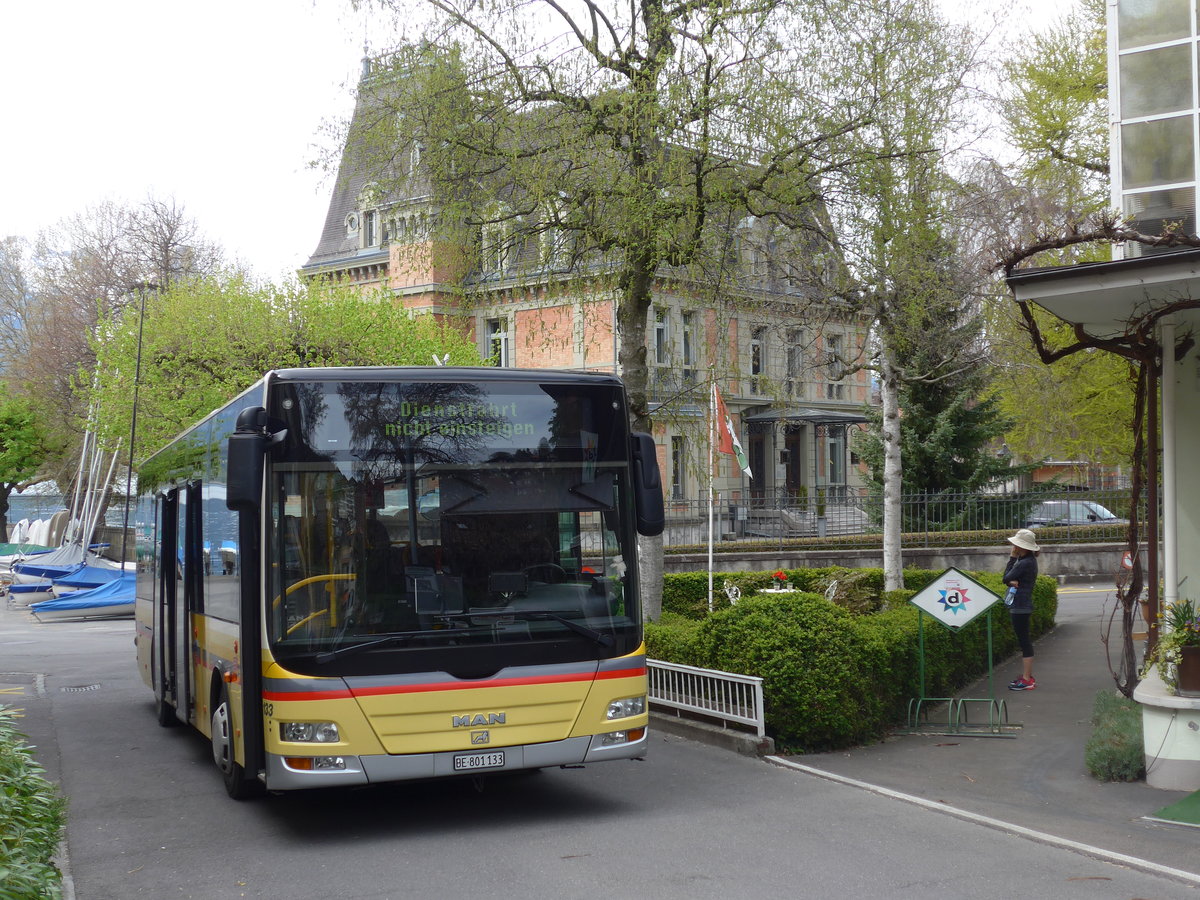 (203'851) - STI Thun - Nr. 133/BE 801'133 - MAN/G�ppel am 21. April 2019 in Oberhofen, Dorf