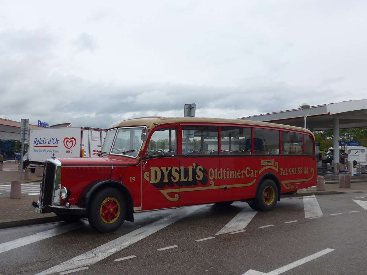 (203'942) - Aus der Schweiz: Dysli, Bern - Nr. 19/BE 65'700 - Saurer/Saurer (ex P 23'085; ex P 2137) am 26. April 2019 in Orschwiller, Rastst�tte