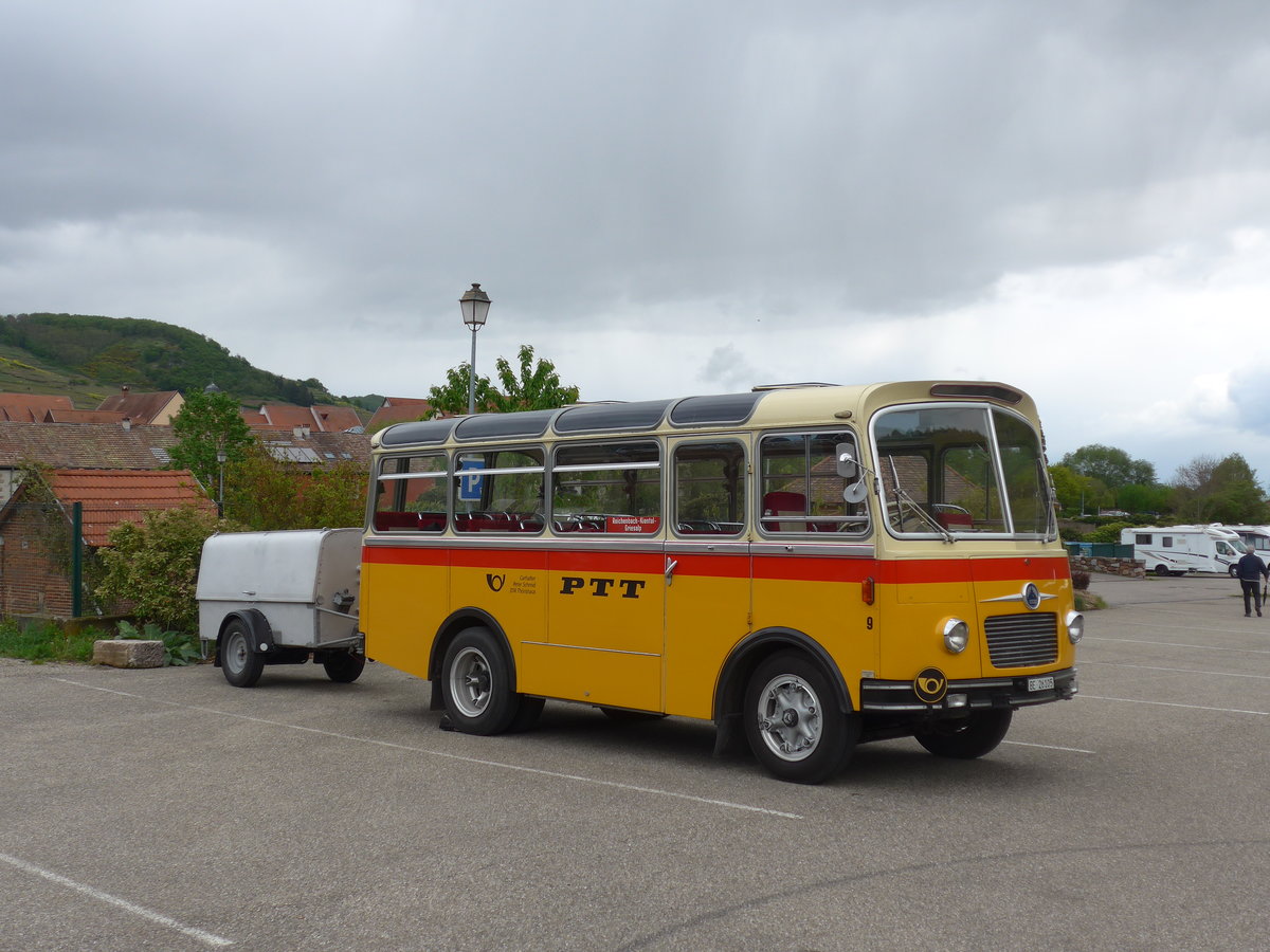 (204'536) - Aus der Schweiz: Schmid, Th�rishaus - Nr. 9/BE 26'105 - Saurer/R&J (ex Geiger, Adelboden Nr. 9) am 28. April 2019 in Kaysersberg, Rocade Verte