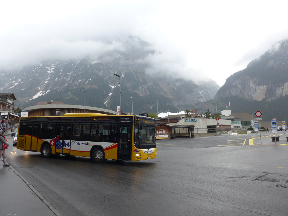 (205'334) - AVG Grindelwald - Nr. 13/407'170 - MAN/G�ppel am 19. Mai 2019 beim Bahnhof Grindelwald