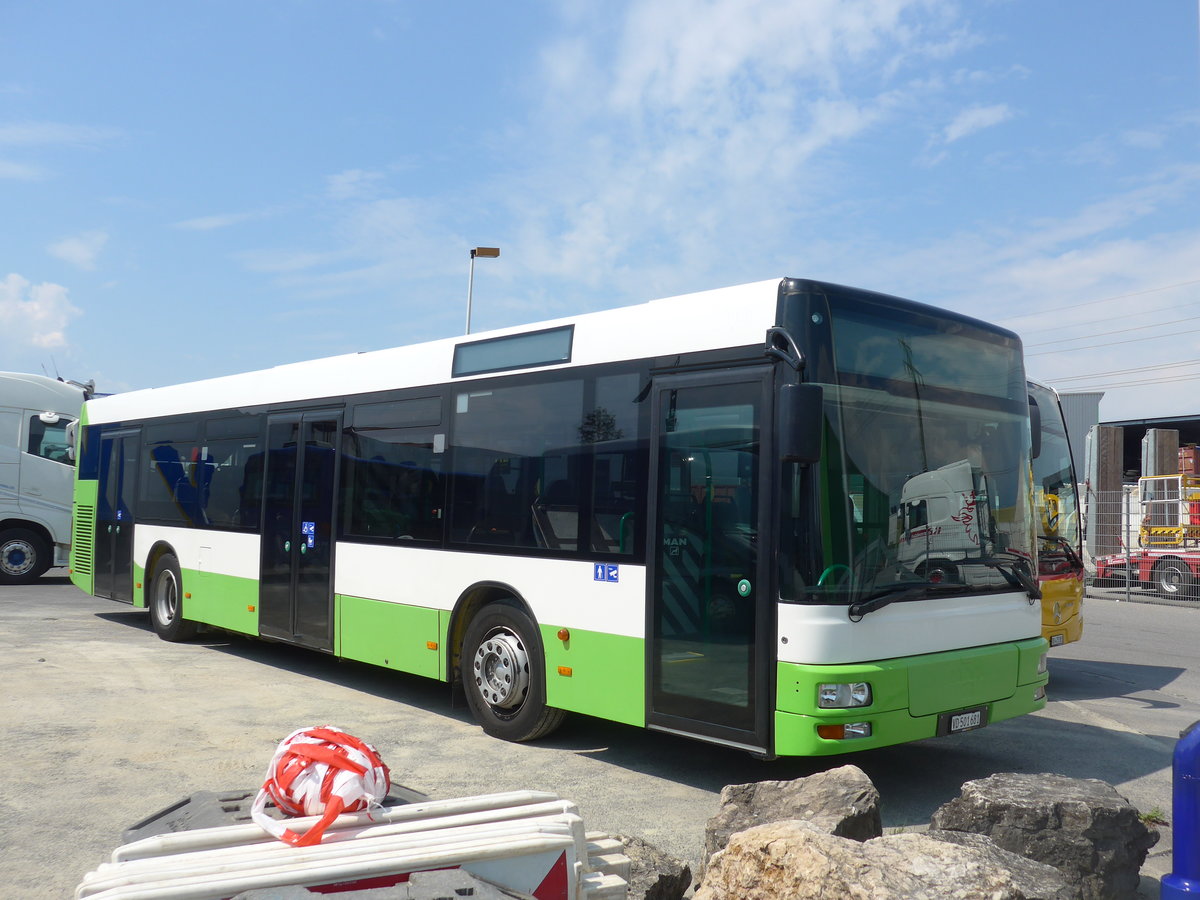 (205'363) - Interbus, Yverdon - VD 501'681 - MAN (ex transN, La Chaux-de-Fonds Nr. 205; ex TN Neuch�tel Nr. 205) am 25. Mai 2019 in Kerzers, Interbus