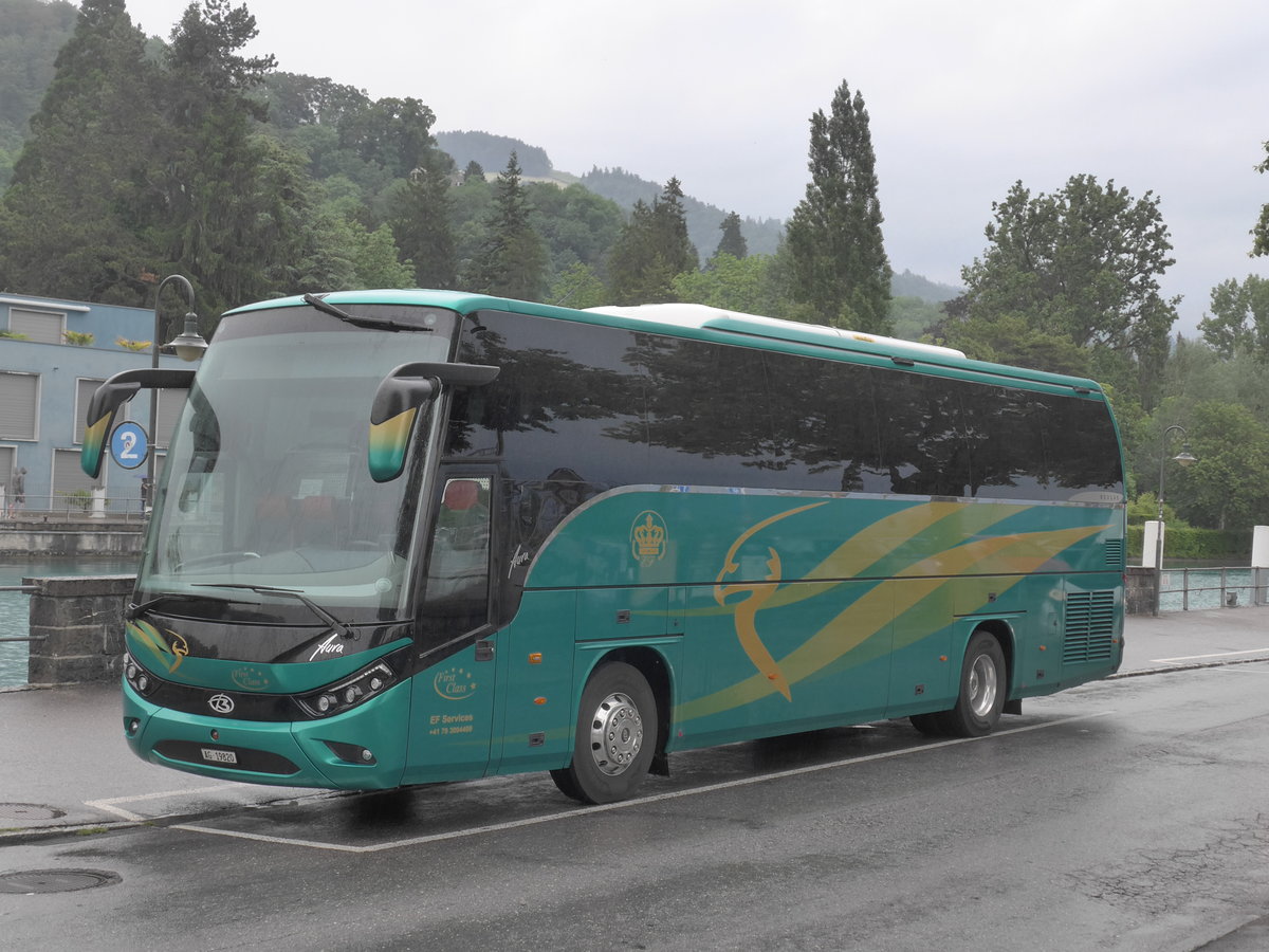 (206'453) - EF Services, W�renlos - AG 19'820 - Beulas am 16. Juni 2019 bei der Schiffl�ndte Thun