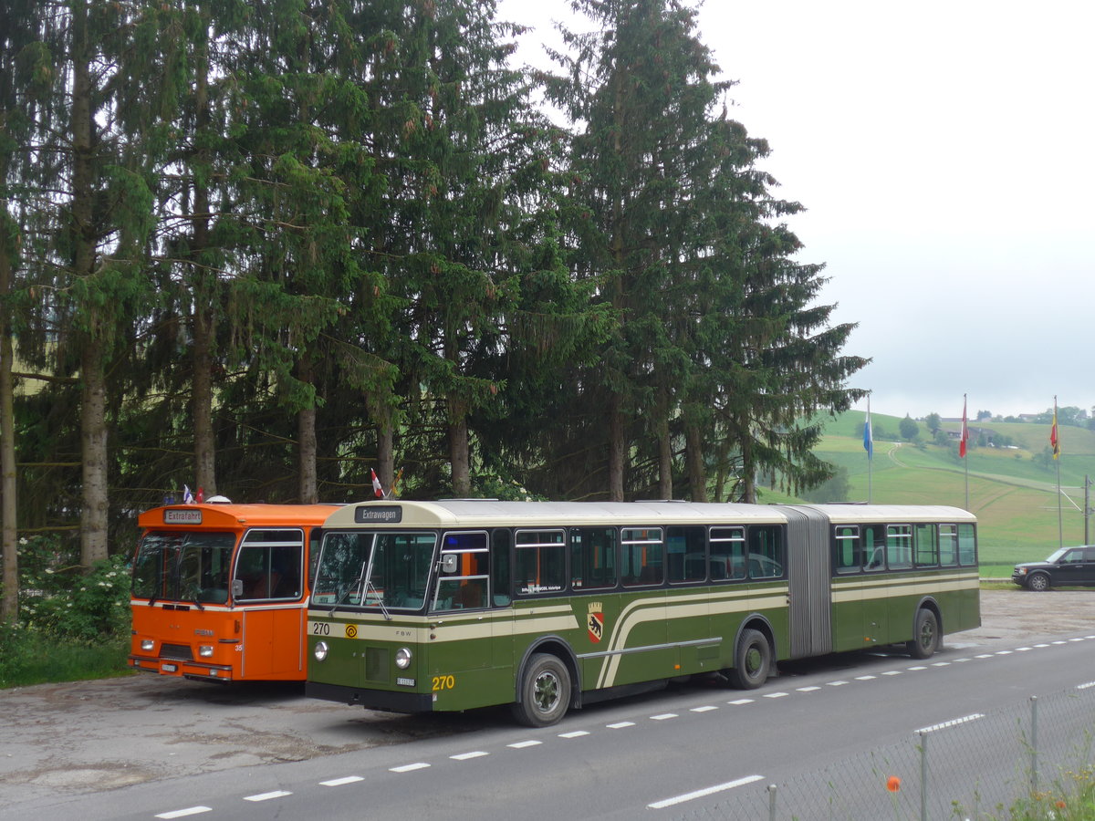 (206'483) - SVB Bern (Bernmobil historique) - Nr. 270/BE 113'270 - FBW/SWS-Gangloff am 22. Juni 2019 beim Bahnhof H�swil