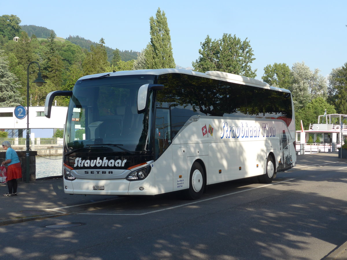 (206'846) - Straubhaar, Thun - Nr. 6/BE 555'977 - Setra am 27. Juni 2019 bei der Schiffl�ndte Thun