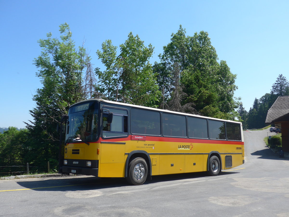 (206'877) - Oser, B�rchen - VS 93'575 - NAW/Lauber (ex Epiney, Ayer) am 30. Juni 2019 auf der L�derenalp