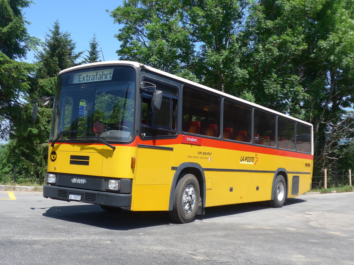 (206'893) - Oser, B�rchen - VS 93'575 - NAW/Lauber (ex Epiney, Ayer) am 30. Juni 2019 auf der L�derenalp