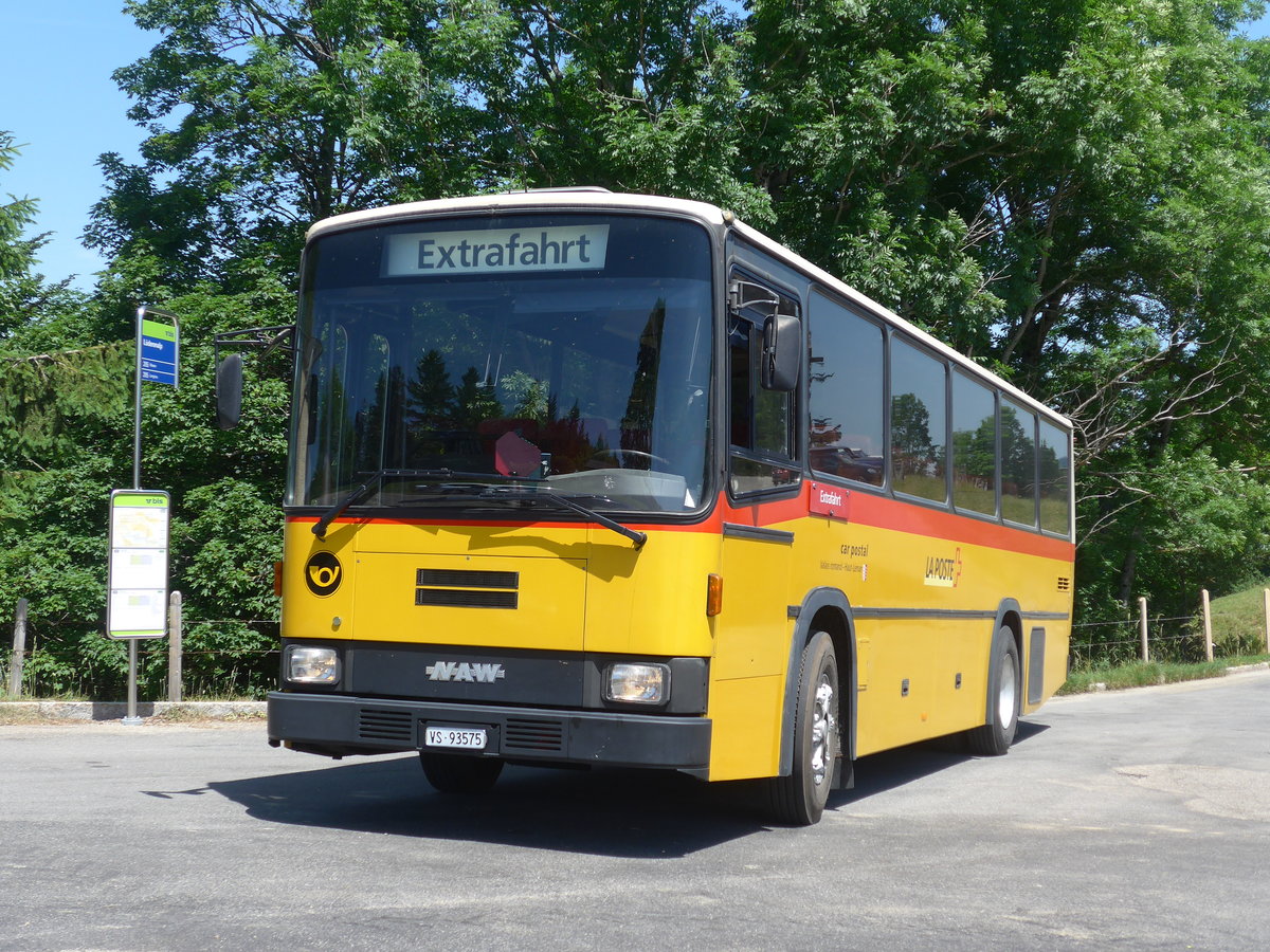 (206'894) - Oser, B�rchen - VS 93'575 - NAW/Lauber (ex Epiney, Ayer) am 30. Juni 2019 auf der L�derenalp