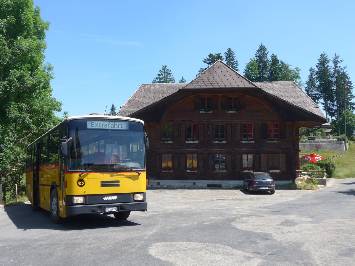 (206'895) - Oser, B�rchen - VS 93'575 - NAW/Lauber (ex Epiney, Ayer) am 30. juni 2019 auf der L�derenalp