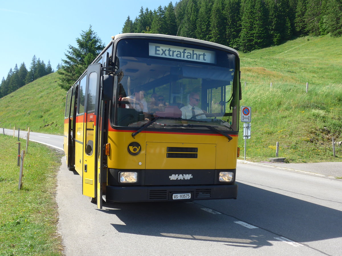 (206'903) - Oser, B�rchen - VS 93'575 - NAW/Lauber (ex Epiney, Ayer) am 30. Juni 2019 am Glaubenbergpass