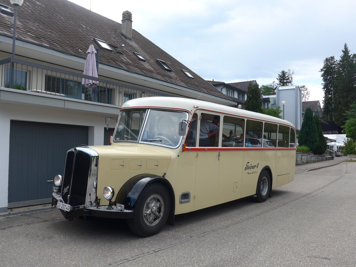 (207'449) - Steiner, Messen - SO 20'142 - Berna/Hess (ex B�rtschi, Biberen) am 7. Juli 2019 in Emmenmatt, Moosegg