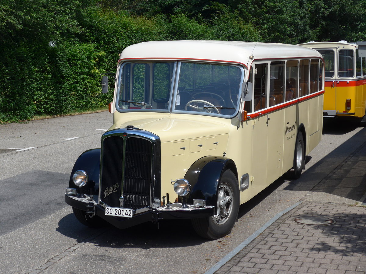 (207'470) - Steiner, Messen - SO 20'142 - Berna/Hess (ex B�rtschi, Biberen) am 7. Juli 2019 in Emmenmatt, Moosegg