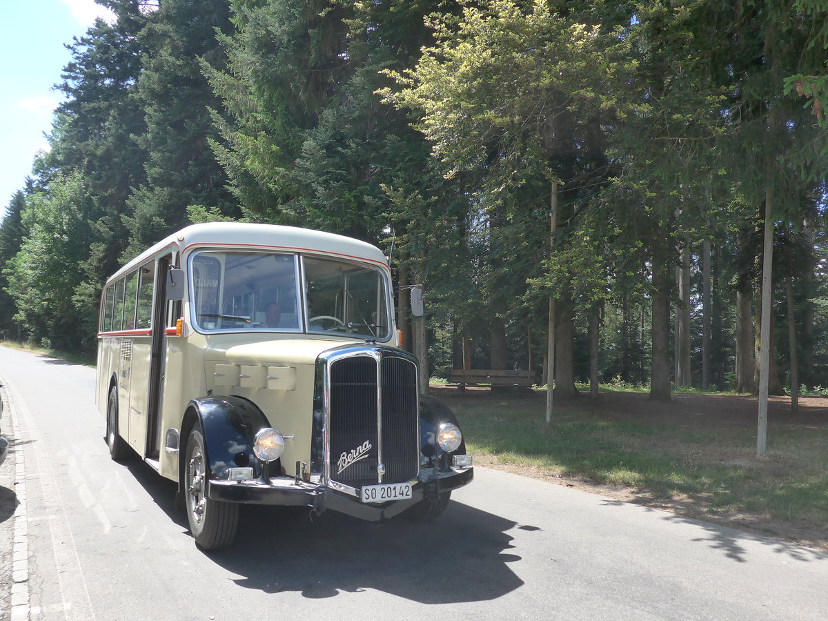 (207'526) - Steiner, Messen - SO 20'142 - Berna/Hess (ex B�rtschi, Biberen) am 7. Juli 2019 in Waldh�usern, Kurhaus