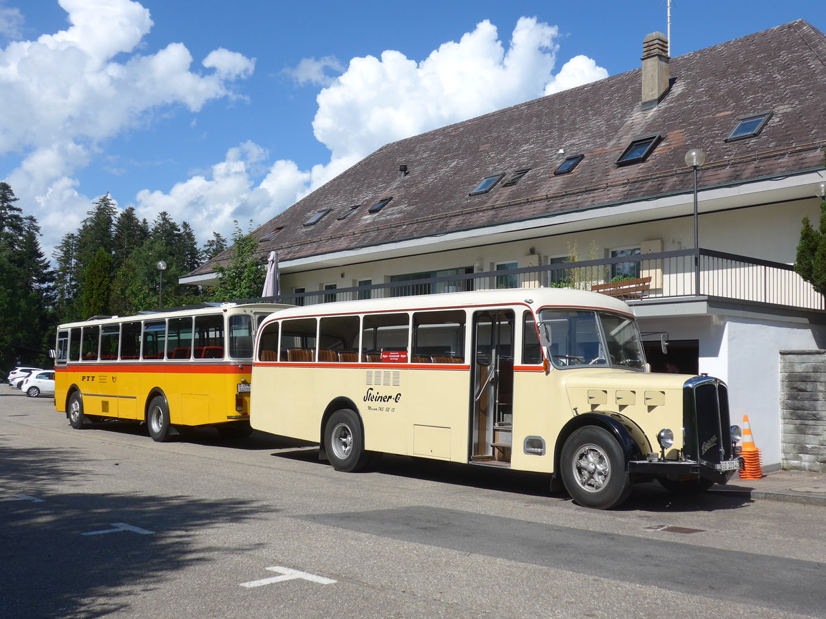 (207'532) - Steiner, Messen - SO 20'142 - Berna/Hess (ex B�rtschi, Biberen) am 7. Juli 2019 in Emmenmatt, Moosegg